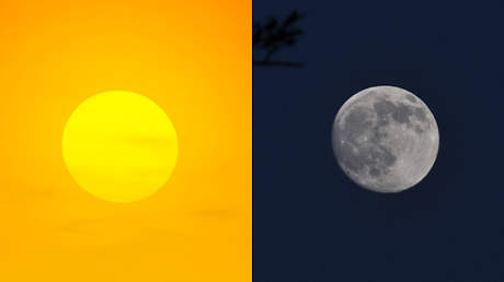 LA DIALÉCTICA DE ORTEGA OBLIGA A ELEGIR UNA COSA SIN OLVIDAR LA CONTRARIA