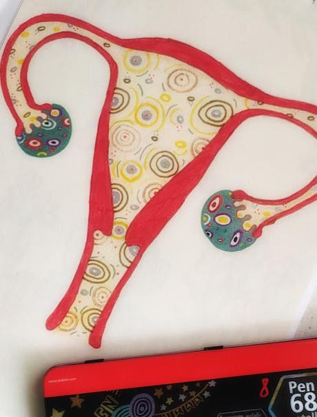 Curiosidades sobre el útero 2