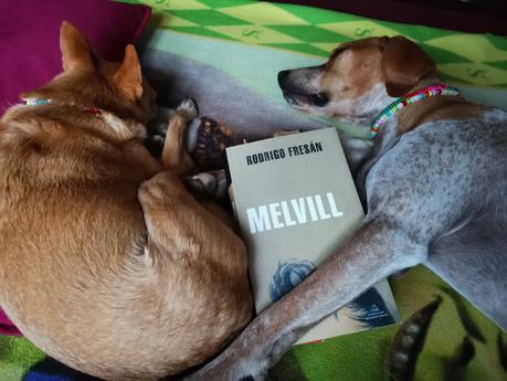 EL PLAGIO Y SU CAPACIDAD TRANSFORMADORA