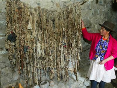 Los quipus Los quipus