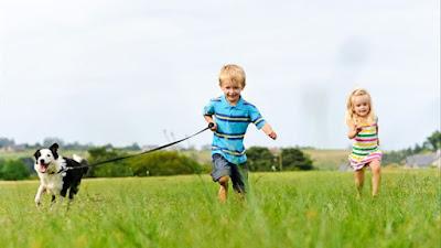 (Recopilación) Yo Escribo 52 Historias Semana 11 y 12 by Varios Autores