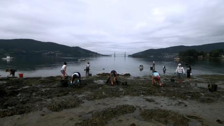 Visions du Réel 2022: Parte 3 - Pertenencia Visions du Réel 2022: Parte 3 - Pertenencia