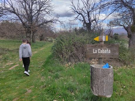 Ruta por el Zofreral de Cobrana, un paseo circular a uno de los bosque monumentales del Bierzo 12