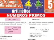 Números Primos para Quinto Secundaria