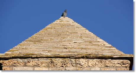 Edén en Coll de Nargó