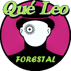 The Wilds: Prime Video lanzó un avance de la 2da Temporada de Salvajes The Wilds: Prime Video lanzó un avance de la 2da Temporada de Salvajes