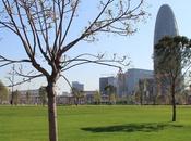 medio hectárea espacio verde frescura,