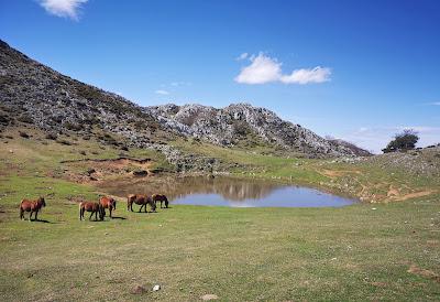 Puertos de Marabio y Pico Tórzanu desde Banduxu