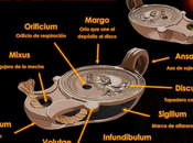 Partes, latín español, lucerna romana (Por Esperanza Martín)
