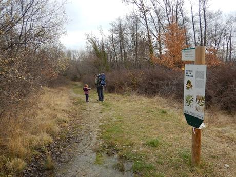Camí de l'Aigua de Bolvir
