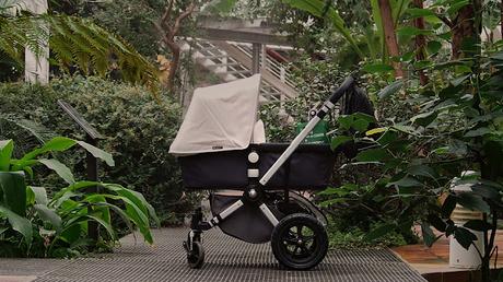 Visions du Réel 2022: Parte 4 - Descendencia Visions du Réel 2022: Parte 4 - Descendencia