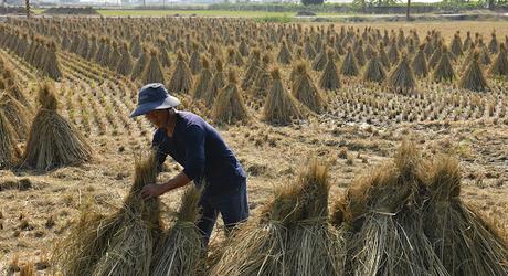 Visions du Réel 2022: Parte 4 - Descendencia Visions du Réel 2022: Parte 4 - Descendencia