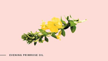 El PODER del Aceite de Onagra