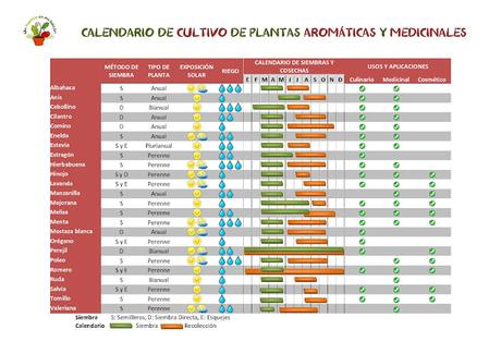 CALENDARIO de cultivo de plantas Aromáticas y Medicinales