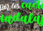 Descubre esta ruta para toda familia Castillos Guadalajara