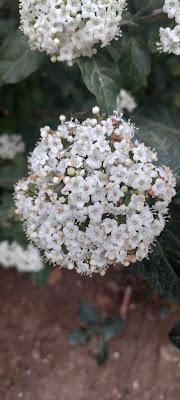 Nuestro viaje a BARCELONA: Qué vimos + mi maleta para 5 días