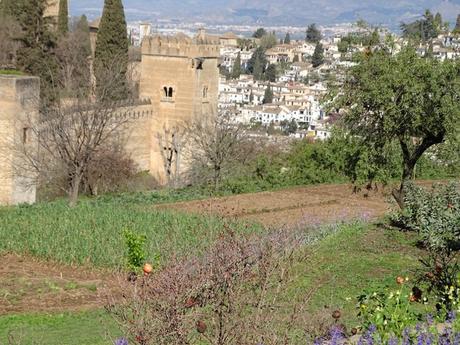 El Generalife de la Alhambra, un paraíso para desconectar del paraíso.