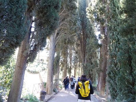 El Generalife de la Alhambra, un paraíso para desconectar del paraíso.