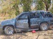 Desarticulan narco-campamento Ciudad Valles