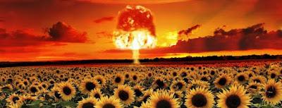 Lista ganadores del Nobel de la Paz que firmaron “No a la guerra”.