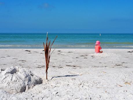 Qué ver en Florida: sus playas como la de Fort de Soto Park