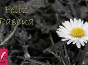 Madrugada Pascua