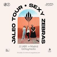 Concierto Sexy Zebras en Ochoymedio