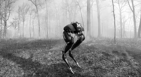 Visions du Réel 2022 - Parte 7: Conciencia Visions du Réel 2022 - Parte 7: Conciencia