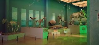 Museo de Paleontología y Museo del Desierto