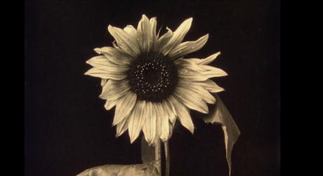 Visions du Réel 2022 - Parte 7: Conciencia Visions du Réel 2022 - Parte 7: Conciencia