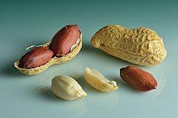#Nutricion Cacahuetes: propiedades y beneficios en la alimentación