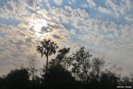 Parque Nacional Iberá (agosto 2021)