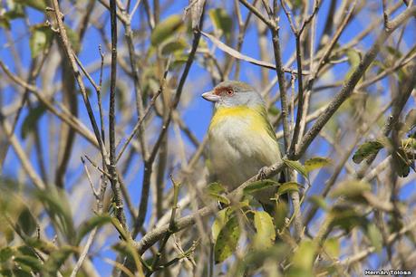 Parque Nacional Iberá (agosto 2021)