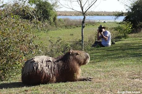 Parque Nacional Iberá (agosto 2021)