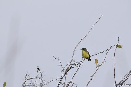 Parque Nacional Iberá (agosto 2021)