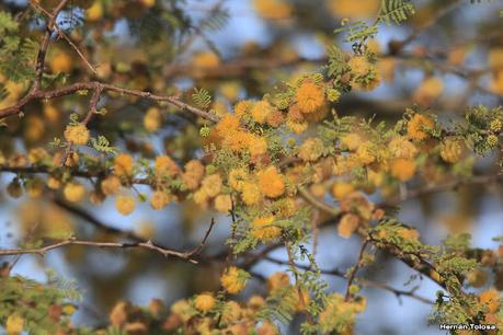 Parque Nacional Iberá (agosto 2021)