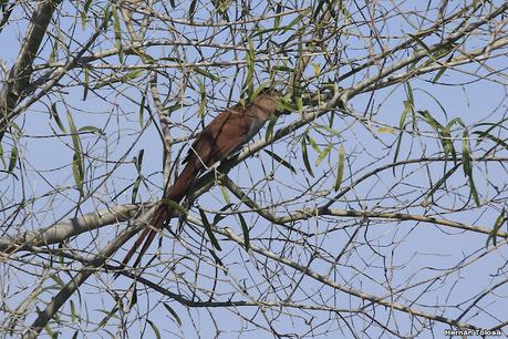 Parque Nacional Iberá (agosto 2021)