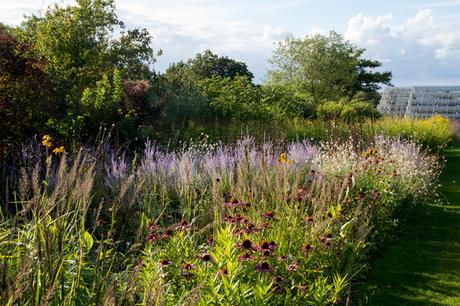 Piet Oudolf: «El jardín no es naturaleza, sino lo que te gusta ver en la naturaleza» Piet Oudolf: «El jardín no es naturaleza, sino lo que te gusta ver en la naturaleza»