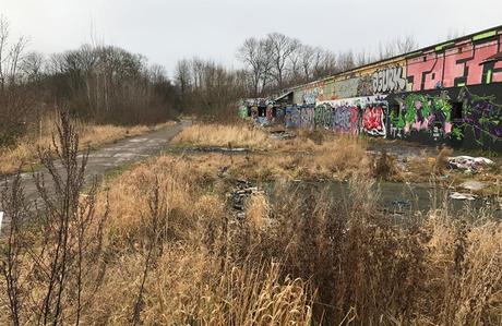 Piet Oudolf: «El jardín no es naturaleza, sino lo que te gusta ver en la naturaleza» Piet Oudolf: «El jardín no es naturaleza, sino lo que te gusta ver en la naturaleza»