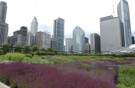 Piet Oudolf: «El jardín no es naturaleza, sino lo que te gusta ver en la naturaleza» Piet Oudolf: «El jardín no es naturaleza, sino lo que te gusta ver en la naturaleza»