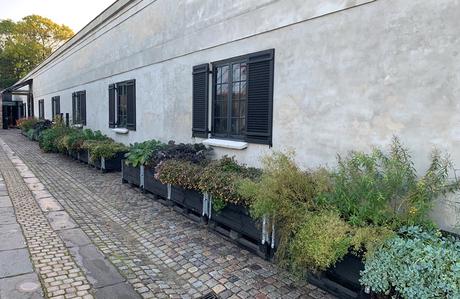 Piet Oudolf: «El jardín no es naturaleza, sino lo que te gusta ver en la naturaleza» Piet Oudolf: «El jardín no es naturaleza, sino lo que te gusta ver en la naturaleza»
