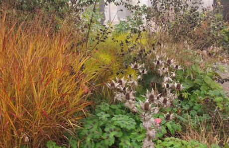 Piet Oudolf: «El jardín no es naturaleza, sino lo que te gusta ver en la naturaleza» Piet Oudolf: «El jardín no es naturaleza, sino lo que te gusta ver en la naturaleza»