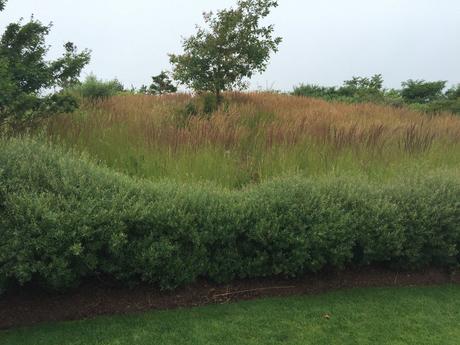 Piet Oudolf: «El jardín no es naturaleza, sino lo que te gusta ver en la naturaleza» Piet Oudolf: «El jardín no es naturaleza, sino lo que te gusta ver en la naturaleza»