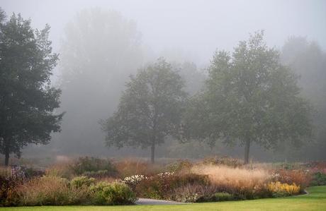 Piet Oudolf: «El jardín no es naturaleza, sino lo que te gusta ver en la naturaleza»