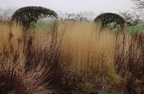 Piet Oudolf: «El jardín no es naturaleza, sino lo que te gusta ver en la naturaleza»