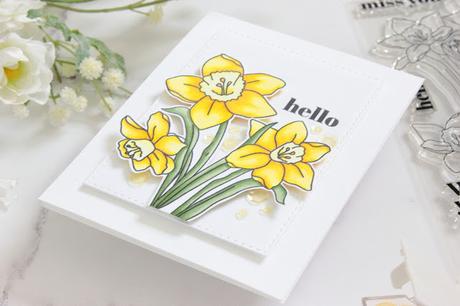 Yellow Daffodil Flowers