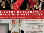 Muestra flamenco baile sevillanas Espectáculos Sole