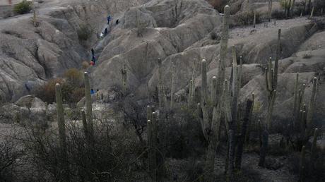 Visions du Réel 2022 - Parte 8: Natura Visions du Réel 2022 - Parte 8: Natura