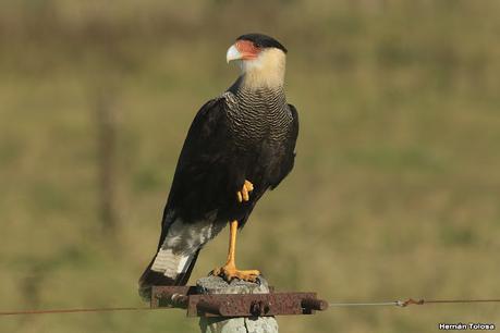 Una vuelta por el campo (mayo 2021)