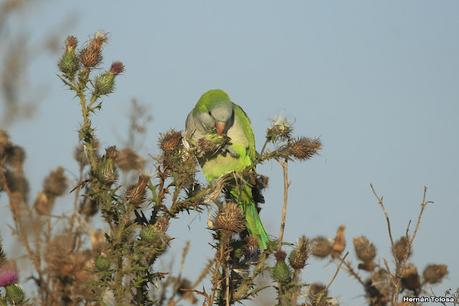 Una vuelta por el campo (mayo 2021)